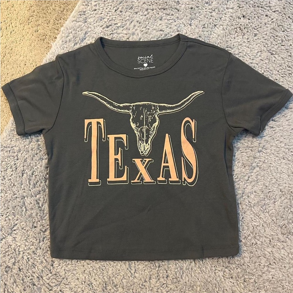 Texas Graphic Crop Top - Gray